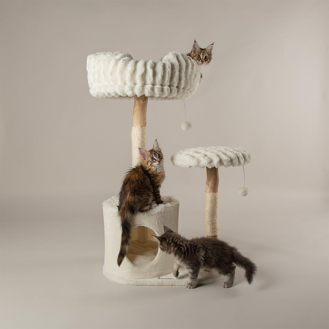 Scruffs Colorado Cat Scratcing Tree