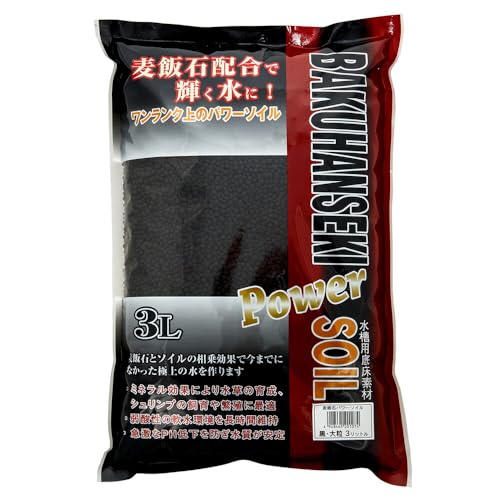 \lP~t@ ѐ΃p[\C 嗱  3L