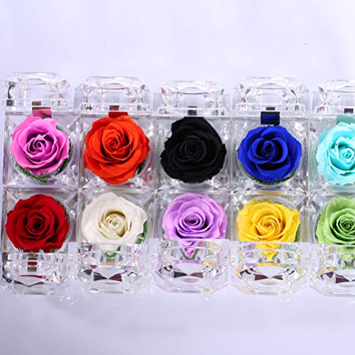 STOBOK Eternal Rose Present Immortal Rose Flowers Gift for Women Girl Birthday, Anniversary, Valenti