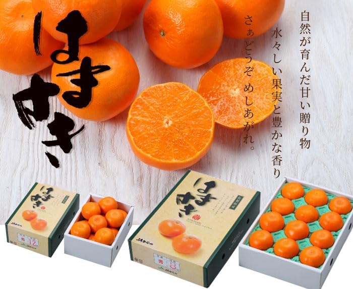 みかん はまさき 優品 4L～Lサイズ 5kg 佐賀県産 JAからつ ギフト
