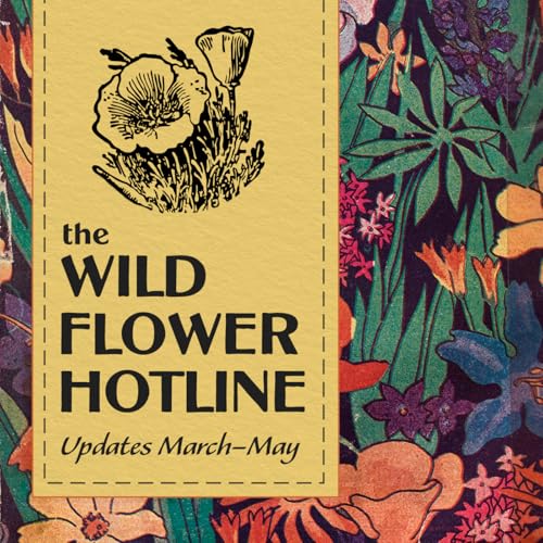 The Wild Flower Hotline Podcast By Theodore Payne Foundation for Wild Flowers & Native Plants cover art