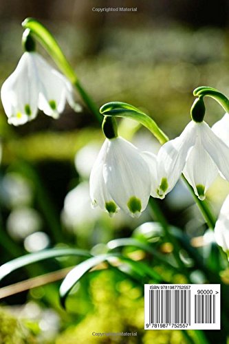 Snowflake Notebook: 150 Lined Pages, Softcover, 6