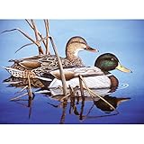Royal Brush Paint by Number Kit, 15.375-Inch by 11.25-Inch, Blue Water Mallards