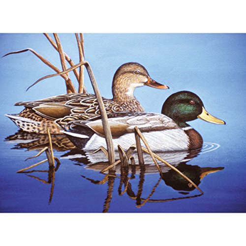 Royal Brush Paint by Number Kit, 15.375-Inch by 11.25-Inch, Blue Water Mallards
