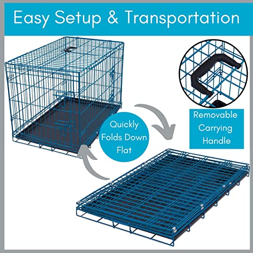 Internet's Best Wire Dog Kennel | Medium (36 Inches) | Double Door Metal Steel Crates | Indoor Outdoor Pet Home | Folding and Collapsible Cage | Blue by Internet's Best - Image 5