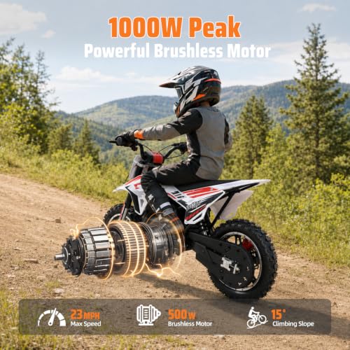 DEETAGO 36V 1000W Kids Dirt Bike