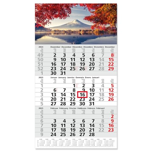 Timr Calendario 3 mesi 2025 Giappone, 30 x 53 cm, multilingue D/GB/F/I/E/NL con cursore e occhiello per appendere Fuji Berg I tr267