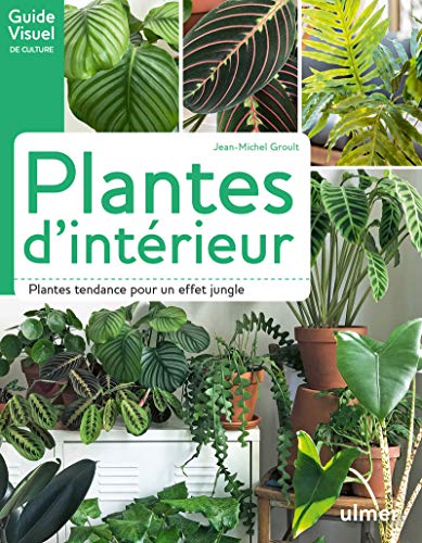 Télécharger Plantes d'intérieur Gratuit