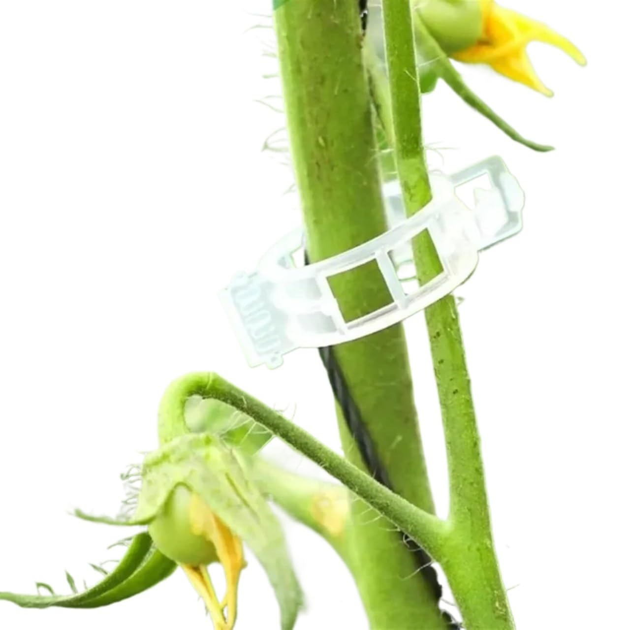 Attaches pour Plantes de Jardin, Clips de Support de Plante en Plastique réutilisables, Multicolores, 10 à 100 pièces, Clip de Vigne de Tomate(Transparent,50PCS)