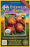 Everwilde Farms - 100 Organic Golden Detriot Beet Seeds - Gold Vault Packet