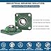 UCF209 (45mm) Bore 4-Bolt Square Flange Bearing Unit, Self-Aligning Mounted Bearing, Cast Iron Housing, Set Screw Lock
