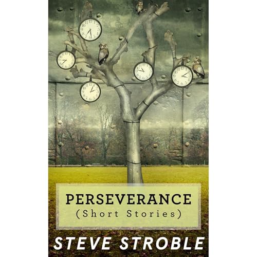 Perseverance (Short Stories) by Steve Stroble episode artwork