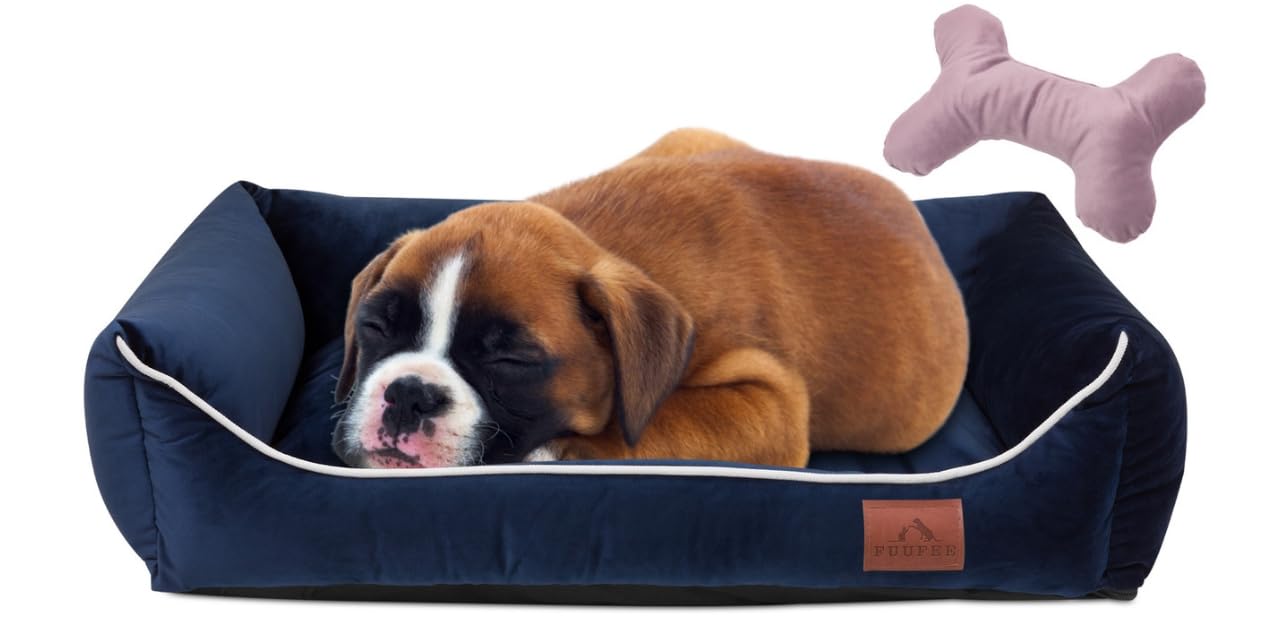 FUUFEE Lux Dog Bed | 60x40 cm | Cozy Sofa for Small Dogs | Comfortable and Washable | with Removable Cover | Perfect for Your Pet's Rest and Relaxation | Navy