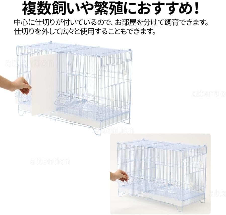 Amazon | 鳥かご 仕切り付き 2羽 (高さ40×幅59×奥行き26cm) 鳥小屋