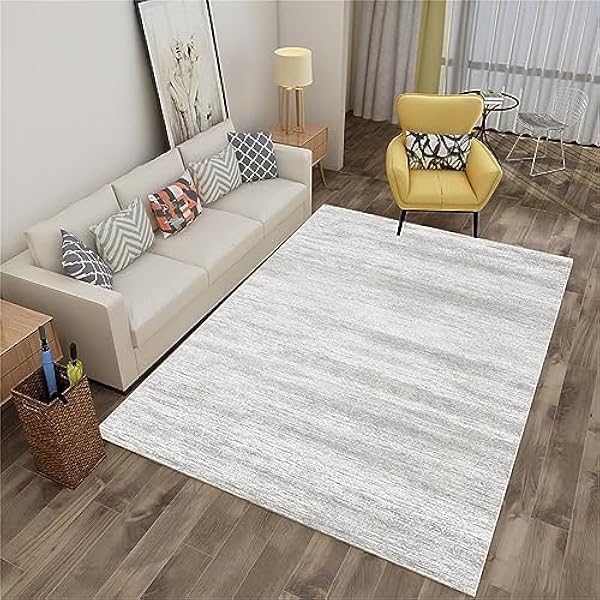 Gebied tapijten woonkamer tapijt, antislip zacht kristal fluwelen tapijt voor gemakkelijk schoon te maken, machinewasbaar tapijt voor woonkamer, slaapkamer, eetkamer wasbare tapijten (lichtgrijs, 80 x