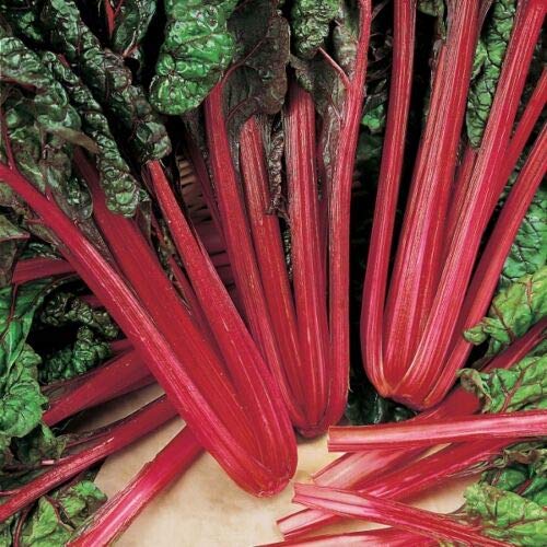Suffolk Herbs - Organic Leaf Beet Rhubarb Chard - 175 Seeds by Wafer