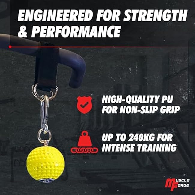 Training Grip Balls for Pull-Ups, Climbing, and Strength Training in the Gym or at Home