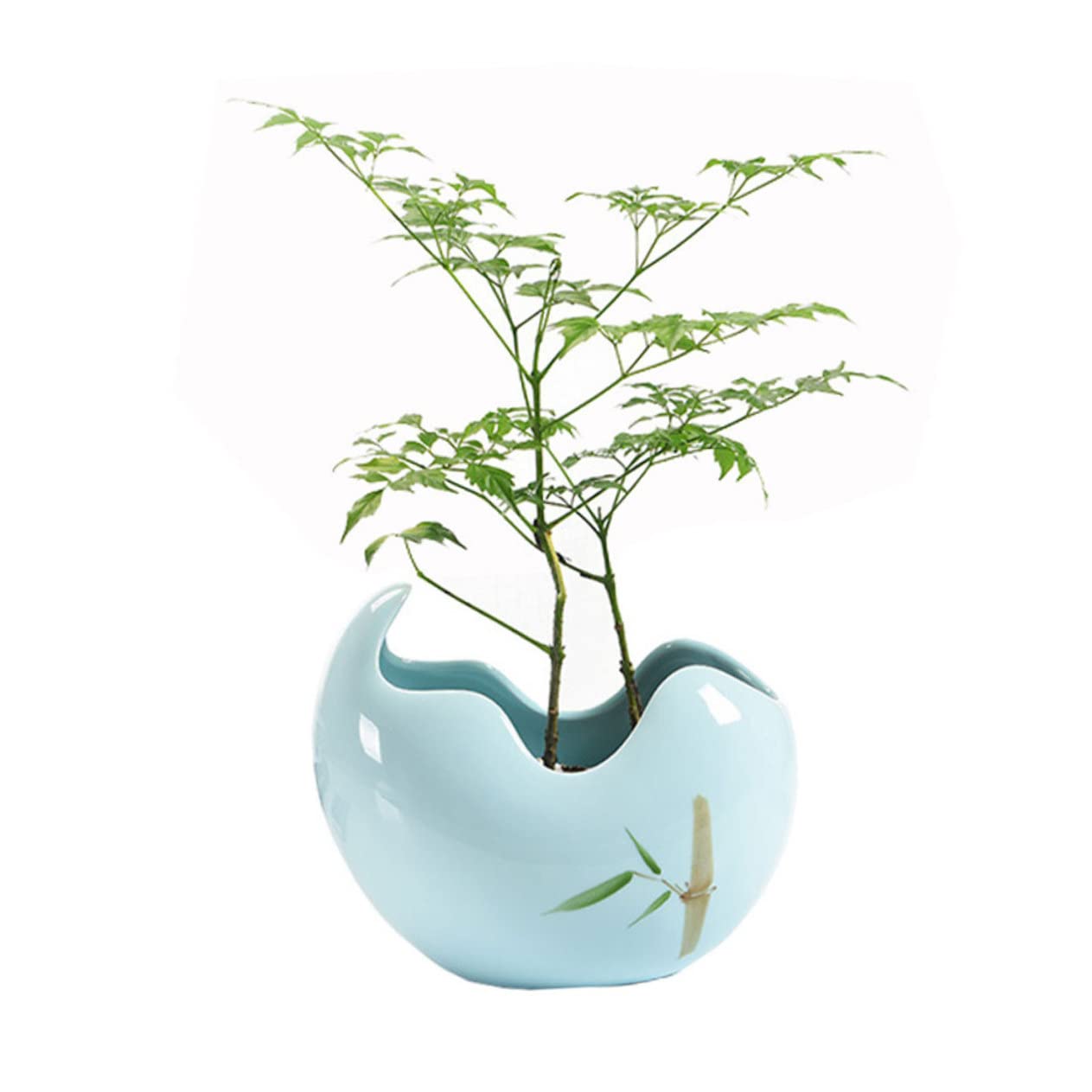 BESTonZON 1 Stück Mini Bonsai für Sukkulenten und Kleine Pflanzen Dekoration für Perfektes für Pflanzenliebhaber