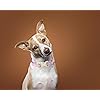Product Photo 4