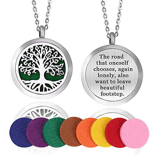 Dinikally Collier diffuseur d'huiles essentielles avec pendentif médaillon en acier inoxydable - Personnalisable - Pour femme et petite amie (sty1) Cover
