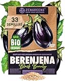 ZenGreens® - Semillas de berenjenabio - verduras para cultivar fácilmente en el jardín, balcón o parterre elevado - hortalizas - black beauty