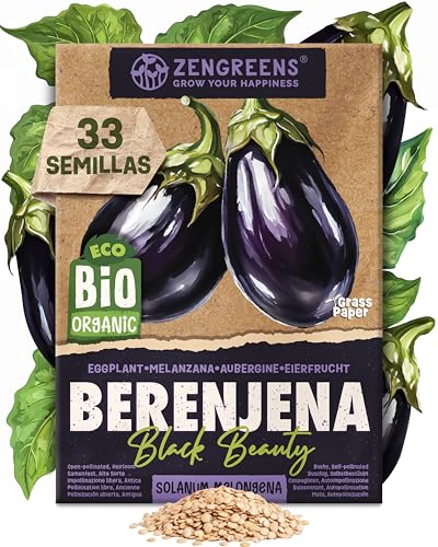 ZenGreens® - Semillas de berenjenabio - verduras para cultivar fácilmente en el jardín, balcón o parterre elevado - hortalizas - black beauty
