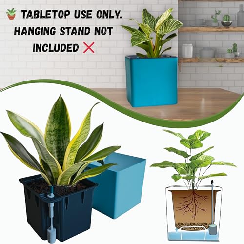Image of Indian Discovery Self Watering Tabletop Planter| Flower Pots for Home, Terrace, Balcony, Vertical Garden Decor Flower Pots(1 PC, Sea Green, Square) |6 Inch UV-Resistant Plastic Plant Pots