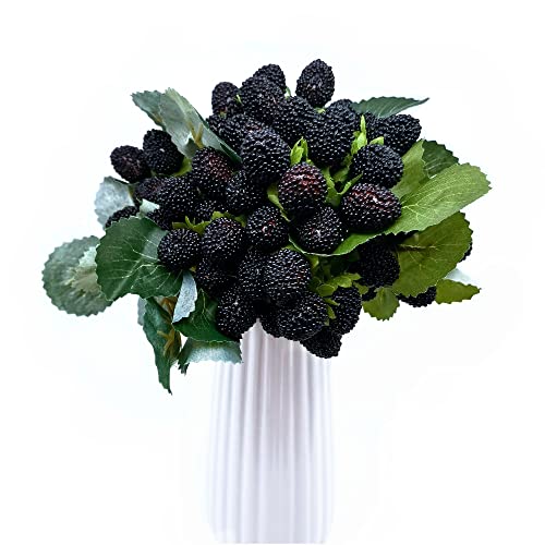 M2Cbridge 4Pcs Artificial Raspberry Red Berry Strawberry Faux Fruit Blackberry Props Table Decoration (Black) #TOP1