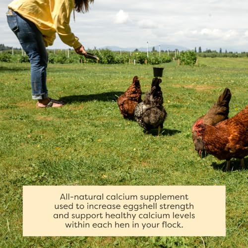 Scratch And Peck Feeds 9320-08 You Are What Your Animals Eat Cluckin' Good Limestone - All-Natural Calcium Supplement For Increase Eggshell Strength Laying Chickens thumb #4