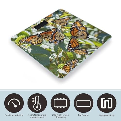 Báscula Digital Monarch Butterflies de Vidrio Templado miniatura 3