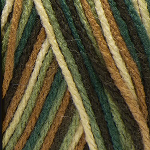 Image of Red Heart Super Saver Economy Yarn, Woodsy Print