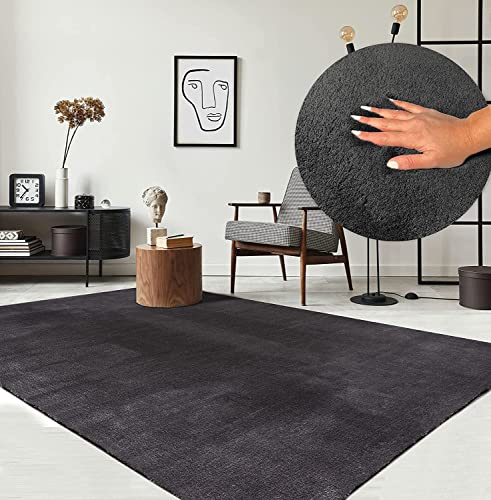 the carpet Relax Moderner Flauschiger Kurzflor Teppich, Anti-Rutsch Unterseite, Waschbar bis 30...