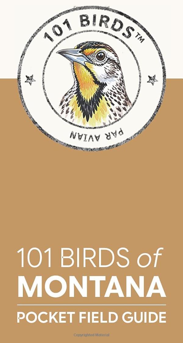 101 Birds of Montana: Pocket Field Guide (101 Birds Pocket Field Guides)