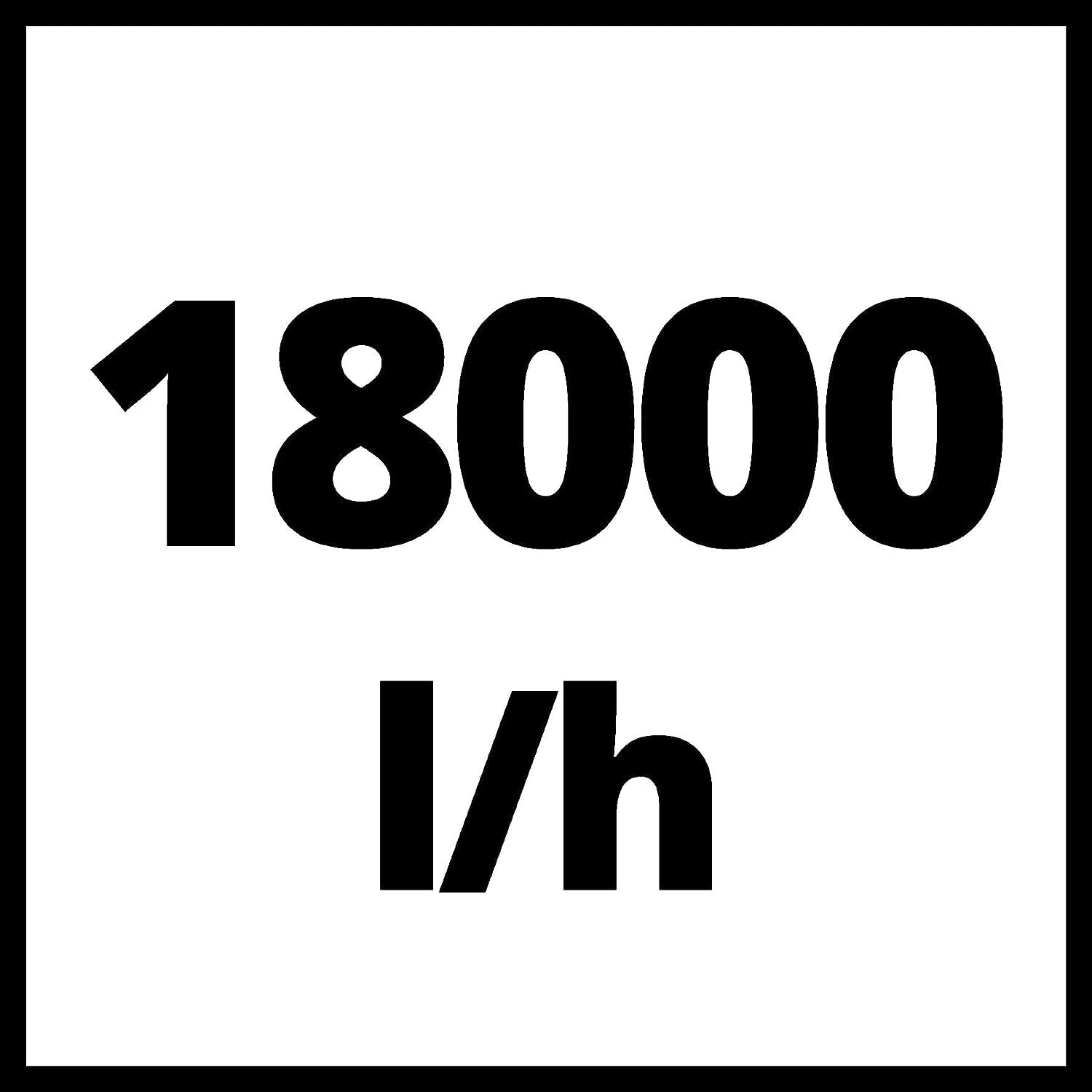 Einhell Pompe d’évacuation pour eaux chargées GC-DP 9035 N (900 W, Câble d‘Alimentation 10 m, Corps en INOX, Poignée de Transport)