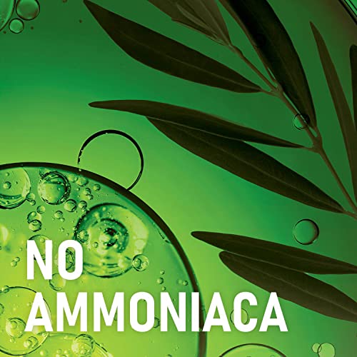 Garnier Colorazione Permanente Belle Color