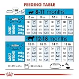 ROYAL CANIN Giant Junior - 3,5 kg