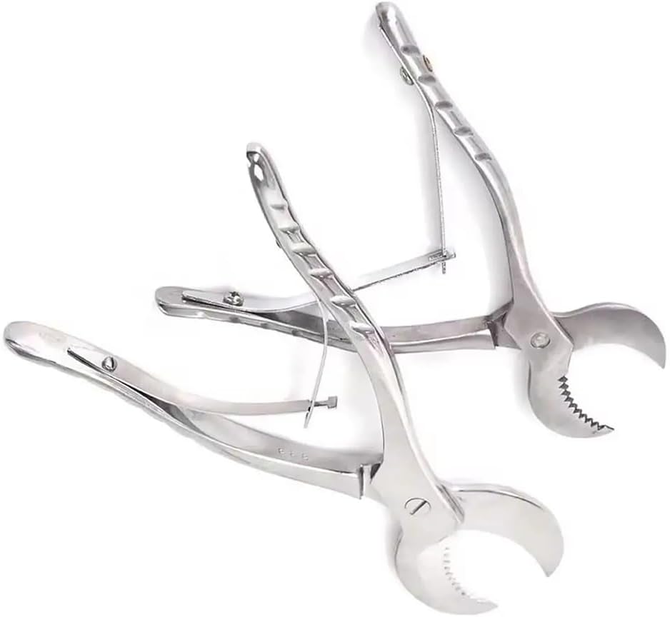 Stainless Steel Forceps Instrument Gypsum Plaster Shears Scissiors Lab Tools (Large+Small)