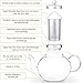 Hiware Glass Teapot with Removable Stainless Steel Lid & Infuser, 33 Ounce Teapot Stove Top Safe for Blooming & Loose Leaf