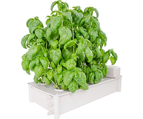 Hydrofarm GCSB Box Kit Hydroponic Salad Garden - Thumbnail 7