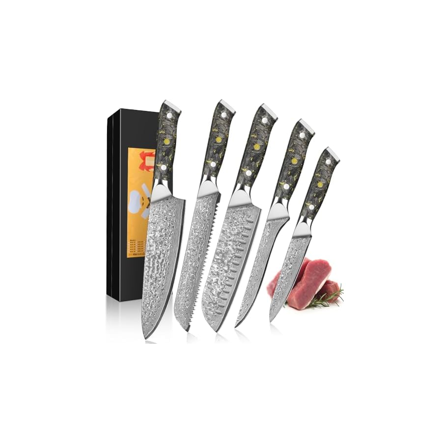 KEENZO Damascus knife set,Professional kitchen knives set 5 pcs,Sharp chef knife set.Hand forged 67-layers high carbon stainless steel knives set for Cooking.Ergonomic Full-Tang handle with gift box