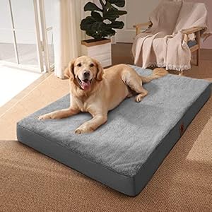 Shilucheng Orthopedic Dog Bed for Large,Medium Dogs,Orthopedic Egg Crate Foam Pet Bed with Waterproof,Removable and Washable Cover, Cat Bed for Crates, Sofa (Medium（30x20x3), Dark Gray