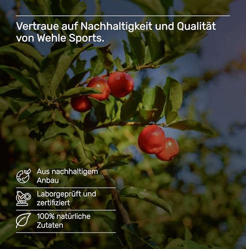 Vitamin C hochdosiert – 240 vegane Kapseln, 4-Monats-Vorrat, mit Acerola- und Hagebutten-Extrakt, 400mg Vitamin C pro Tagesdosis (2 Kapseln), laborgeprüft – Wehle Sports®
