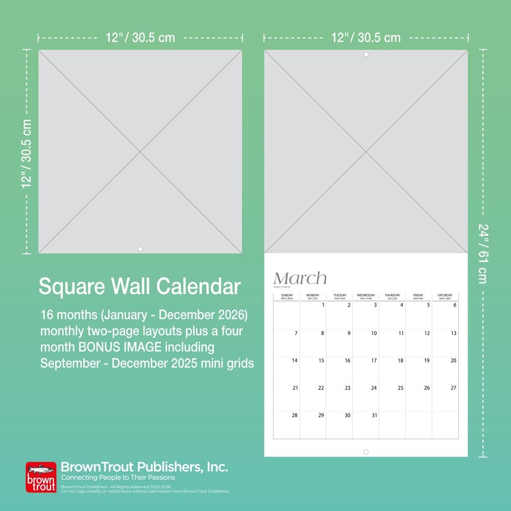 Baby Animals – Tierbabys – Tierkinder 2026 – 16-Monatskalender: Original BrownTrout-Kalender [Mehrsprachig] [Kalender]