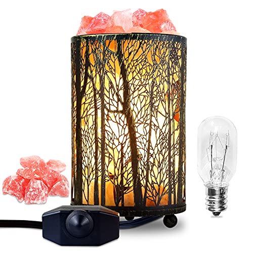 Image of Shineled Salt Lamps, Natural Himalayan Salt Lamp, Forest Salt Lamp with Dimmer Switch, Salt Crystal Night Lights, Retro Metal Basket Decor Desk Lamp with Extra 25W Lamp Bulbs (Retro Yellow)