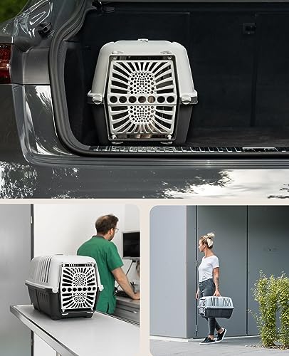 lionto Hundetransportbox aus robustem recyceltem Kunststoff, 48x31,5x33 cm, Transportbox mit praktischem Schließsystem & Tragegriff, auch geeignet für Katzen & Kleintiere, für Haustiere bis 15kg grau