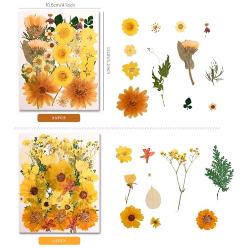 Image of 100 PCS Yellow Pressed Dried Flowers and Leaves with Tweezers | Natural, For Resin, For Candle, For Jewelry, For Scrapbooking & DIY Crafts
