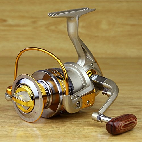 Fashion Outlet 10bb Ball Bearing 5 5 1 Saltwater Freshwater | Desertcart Fiji Fashion Outlet 10bb Ball Bearing 5 5 1 Saltwater Freshwater | Desertcart Fiji