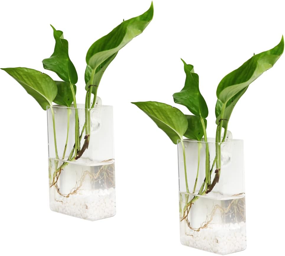 WKWENKRYGDN 2 Pack Wall Hanging Planters Hanging Glass