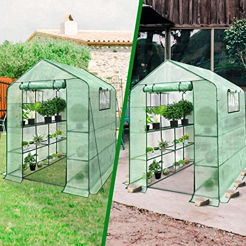 Tgzwme Walk In Greenhouse L57 X W57 X H77 Greenhouse For Outdoors With 2 Windows Durable Pe Cover Plant Gardening Green House With Anchors And Ropes #TOP6