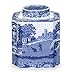 Blue Italian Tea Caddy
